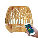 Nmt 074 リモコン wifi 加湿器 アロマ エッセンシャルオイル ディフューザー 7色 led ナイトライト 適用家族の 寝室(2)