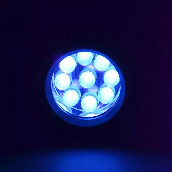 12w uv 懐中電灯 led uv 2で1 uv ブラック ライト で500LMハイ ライト & 4モード & 防水 ipx 4のためペット服 食品 菌