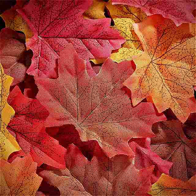 50個11色 人工 秋 のカエデの 葉 秋 色 サッシ ウェディング イベント の アート スクラップ ブッキング 感謝祭