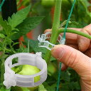 プラスチック製の 植物 クリップ 植物 のハンギング クリップ つる 庭 野菜 温室 植物 クリップ 50/100