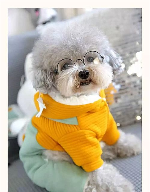 かわいい 犬服 冬の犬のジャケットの服 犬 秋オーバーオール 犬のための 小型犬の服 ヨーキーパグペット服