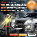 Bullvision フォグランプ H16 LED 赤黄白 信号 電球 H4 H8 1156 1157 BA15S 9012 9005 9006 H11 T20 7443 W21W T25 3156 PY21W(2)
