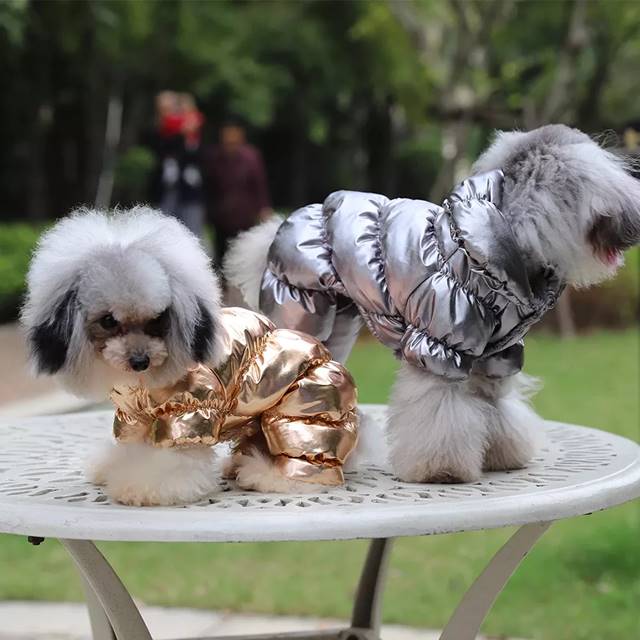 犬 用の 冬用衣類 フレンチブルドッグ 小型犬 用の パッド 入り コットン ジャケット チワワ 用 の暖かい コート 3