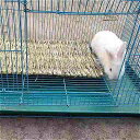 Qinoulieran- ウサギ ハムスター の 安全なペット ぬいぐるみ 小さな動物