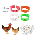 100 { O a2?2B4Z`[gpoultryretractable O 6F Ђ悱 Aq K`E poultryfarm@