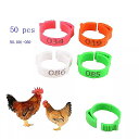 100 { O a2?2B4Z`[gpoultryretractable O 6F Ђ悱 Aq K`E poultryfarm@