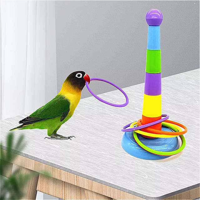 Bird toy アクティビティ トレーニング カラフルリング 面白い ミニフェルルール トイ オウム インタラクティブ 再生用品