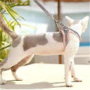 子猫用 ハーネス と 調節可能な ベルト 小型犬の 首輪 子犬 と 子猫用の ハーネス ペット アクセサリー 新しい コレクション 0
