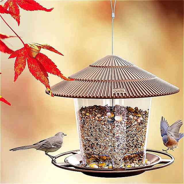 鳥 巣を吊るす 屋外 装飾 ツール 鳥 餌やり に最適 2022コレクション