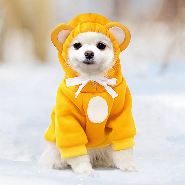 ペットの犬のフード付き スウェットシャツ 犬の服 愛らしい 暖かい 冬の帽子 3