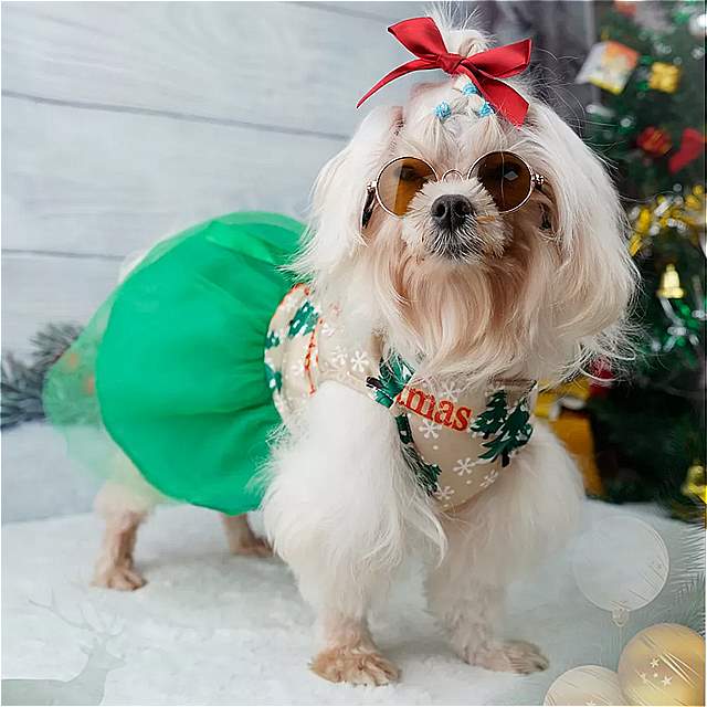 犬 プリンセススカート ペット 用品 ラウンド ネック かわいい ファッショナブル 愛らしい 犬 ファッション 3