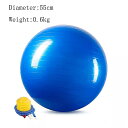 ヨガ ボール 身体トレーニング 用 マッサージ ボール 体操 用 エアポンプ 付き 45cm(4)