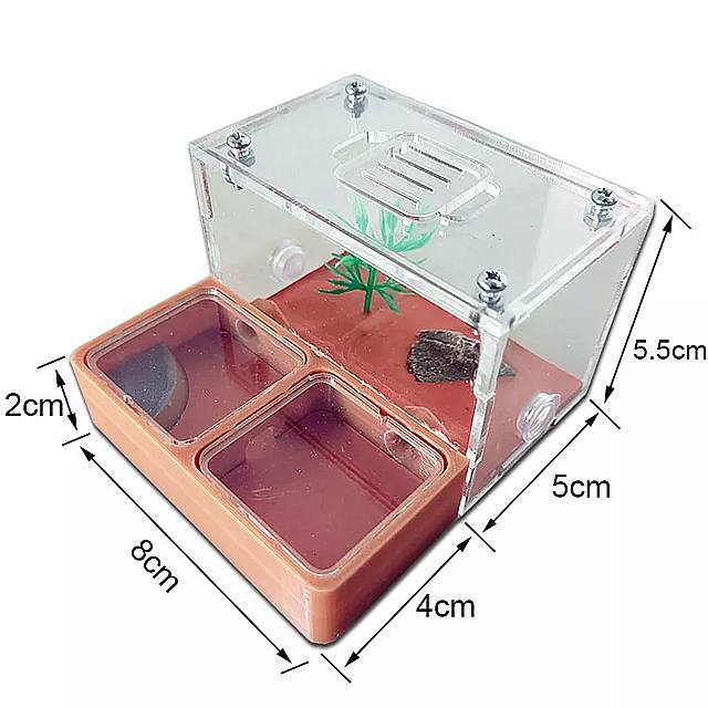 エコロジカル アリの巣 3d コンクリート フ ラット 飲用用 ペット 用 ワークショップ 水分 補給 狩猟 エリア 昆虫