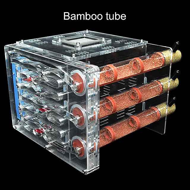 diy アクリル ant 農場 生態3 竹 試験管 巣 給餌でエリアant ハウス 村 ペット anthill ワークショップ アリの巣 城