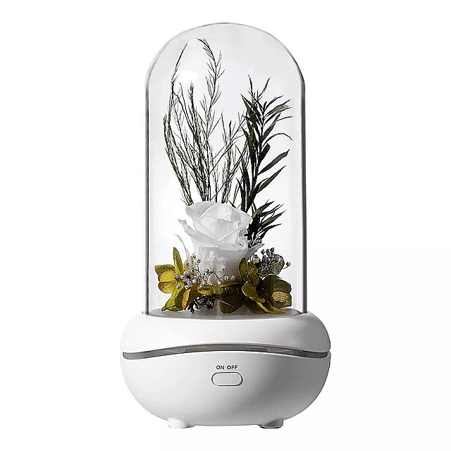 フラワーアマテラピー ランプ ベッドルーム カラフル 大気 ナイト ライト 内蔵 充電式 不滅の 花飾り 0