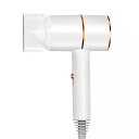 電気 ヘア ドライヤー ハイパワー 青 い光 負イオン 定温度 静音 冷 温水 ベストセラー(2)