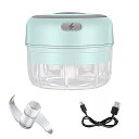電気ガーリック100/250ml ニンニク ミニ チョッパー 野菜 肉 トマト機 USB 充電器 キッチン ガジェット(2)