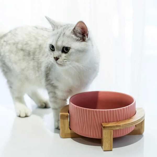 犬 猫 ため セラミックボウル 木製スタンド付き 給餌器 ペット用品 小型動物製品 付属品 # p006