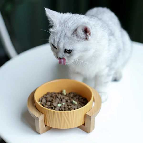 犬 猫 ため セラミックボウル 木製スタンド付き 給餌器 ペット用品 小型動物製品 付属品 # p006