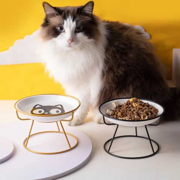 ペット用セラミックボウル 猫 犬用 ペットボトル 屋外給餌用 飲用 アクセサリー