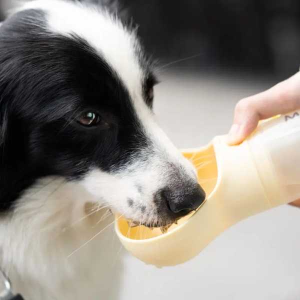 犬 猫 ため シリコンキャンプボトル ポータブル ペット用品