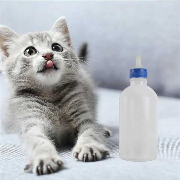 ペット 授乳ボトル 犬 子犬用 フィーダーキット 新生児用 歯が生えるキット 子猫用 ウサギ 絵 猫 餌 牛乳