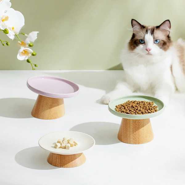 バーズセラミックフード 水皿 ペット 偉大 ダイニングプレート 猫 小さ 犬 ペット用品