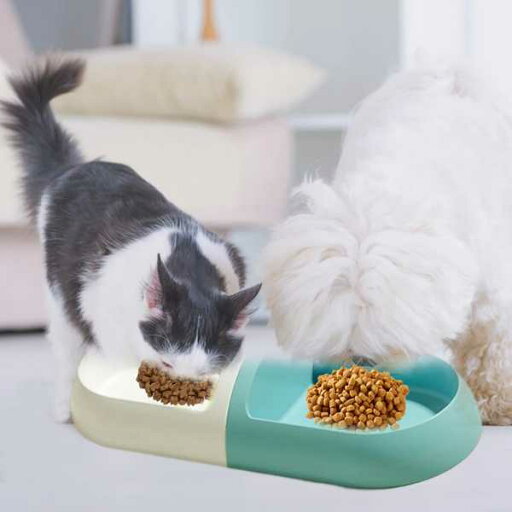 犬 猫 ため プラスチック製 ボウル 子犬 子猫用 アクセサリー 犬 猫 ため プラスチック製 ボウル 子犬 子猫用 アクセサリー