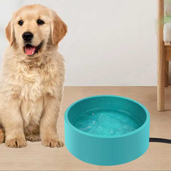 犬 猫 ため 加熱水ボウル 飲用ボウル ペット 授乳 鳥 リス ため サーマルボウル ペン 子猫 ペット用品