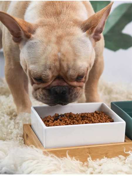 犬 猫 ため 色付き 正方形 セラミックボウル 子犬 ペット ため 竹トレイ付き 給餌ボウル 大容量 給餌ボウル 消耗品