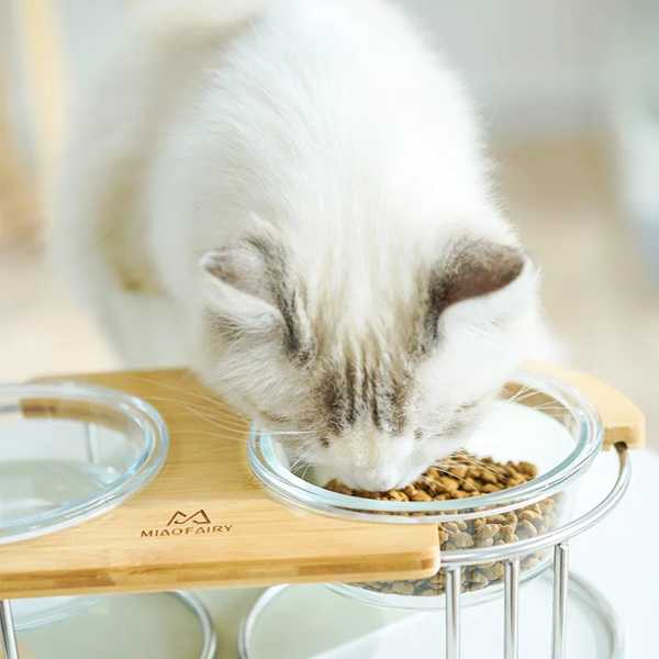 猫用シングルまたはダブルペットフィーダー 小さ 動物用 給餌容器 高ガラス 木製 棚 猫用品