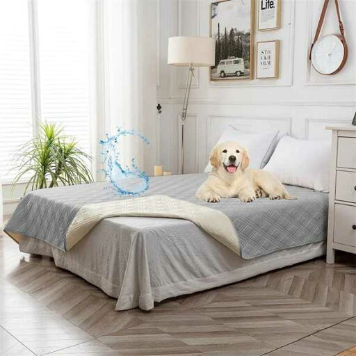 洗えるマットレスプロテクター 防水 ベッドカバー 犬 子供 ため 寝具 洗えるマットレスプロテクター 防水 ベッドカバー 犬 子供 ため 寝具