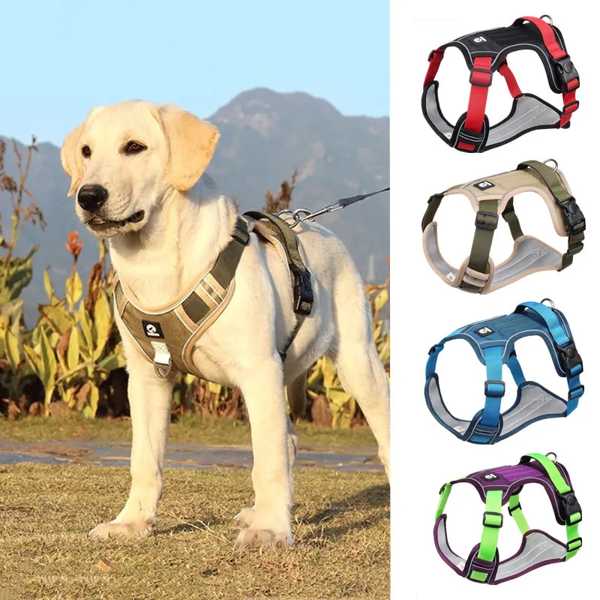 楽天輸入雑貨お取り寄せ JsameAdjustable Harness Dog Reflective Safety Training Walking Chest Vest Leads Collar For French Bulldog Pets Dogs Accessories