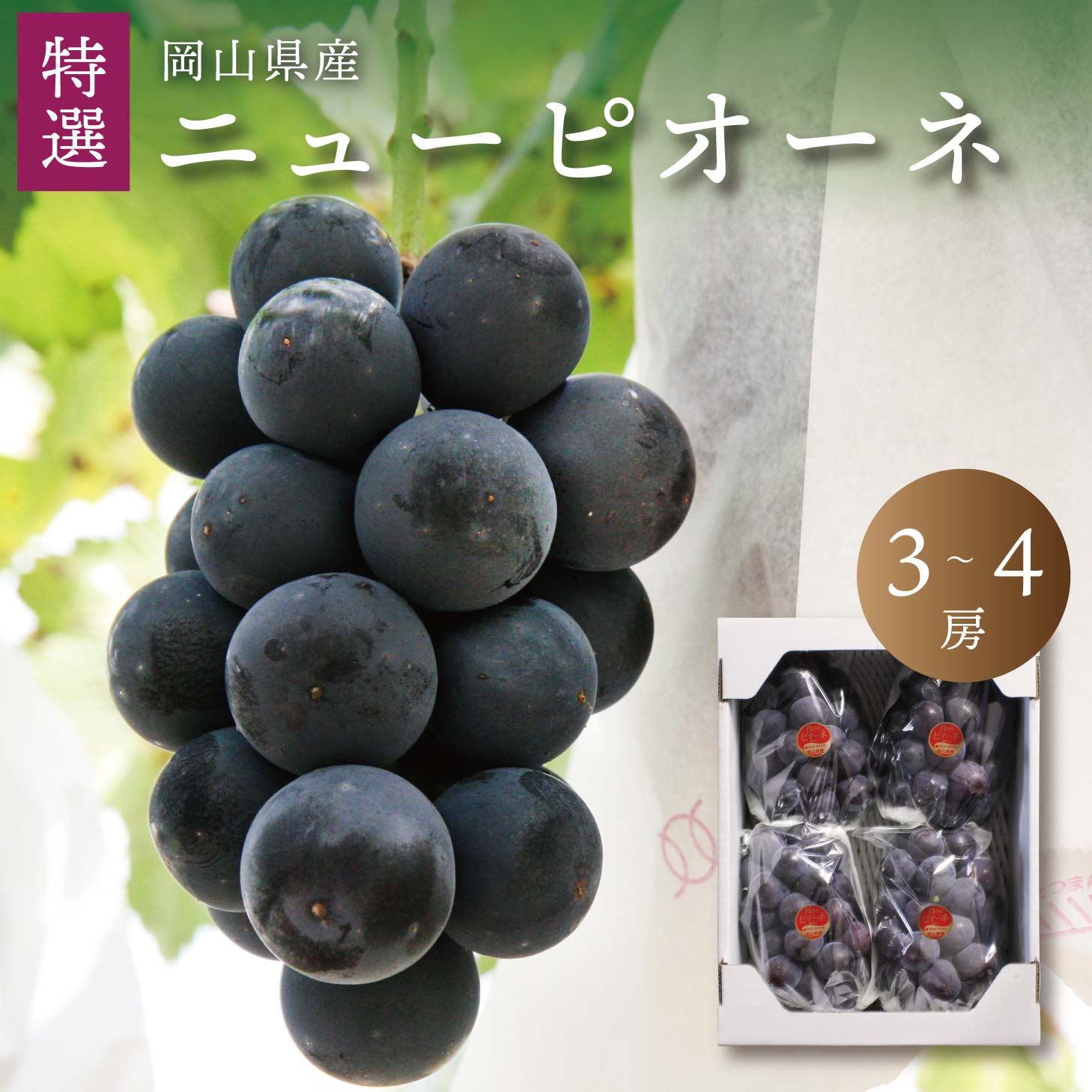 【8月中旬以降発送予定】ピオーネ 岡山 ぶどう 種なし 特選 ニューピオーネ 3～4房 2kg前後 送料無料 岡山ぶどう 北海道沖縄一部地域配送不可