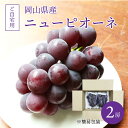 ニューピオーネ 訳あり ご自宅用 2房 送料無料 岡山ぶどう 皮付き 北海道沖縄一部地域配送不可