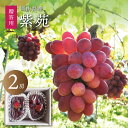 【10月上旬以降発送予定】岡山 ぶどう 紫苑 しえん 2房 ギフト 送料無料 冬に食べられるぶどう 皮付き 10月中旬出荷 農園 産地直送 種なし 種無し 果物 くだもの フルーツ 贈答品 北海道沖縄一部地域配送不可
