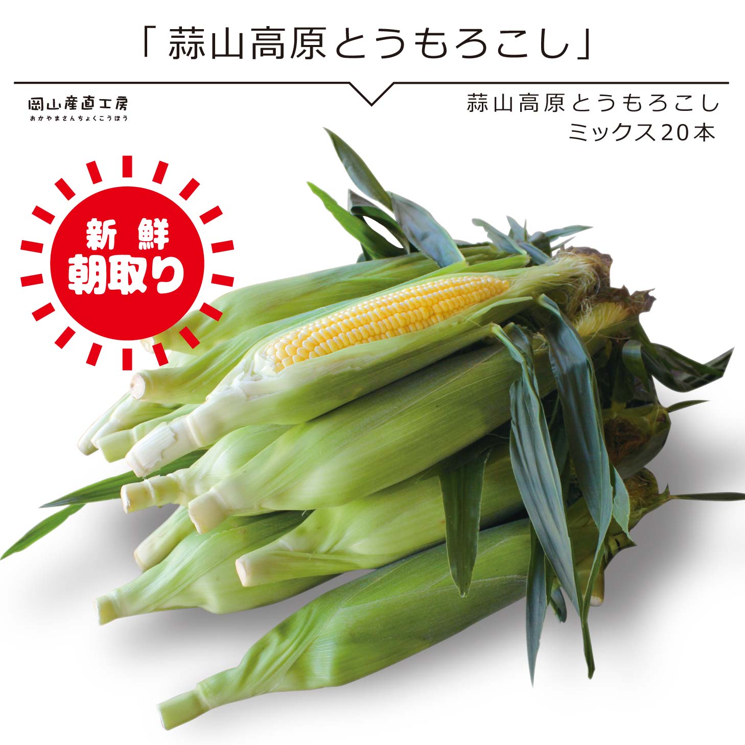 【早期予約受付中・7月下旬以降発送予定】蒜山高原とうもろこし ミックス20本 黄白ミックス トウモロコシ 送料無料 夏野菜 北海道沖縄一部地域配送不可