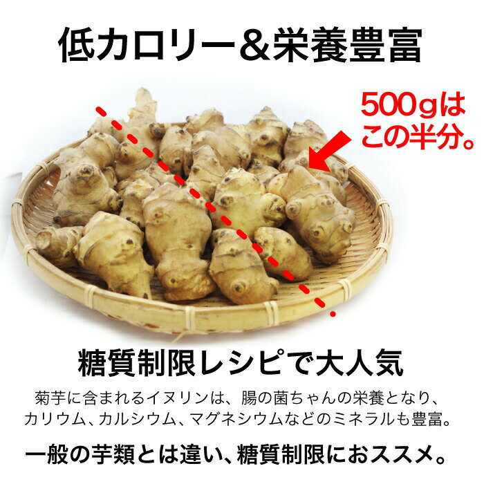 ��11���ܰʹ�ȯ��ͽ��۵ư� ���̥�� �������� �� 500g ���� ������ Ĳ�����ȩ �ư����� ��Ǥ��������¤Ǥ��� ��ޤǿ��٤��� ��������