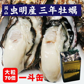 【追加販売】牡蠣 殻付き 一斗缶 岡山産 大粒 約70個 9kg前後 3年もの 加熱調理用 牡蛎 お徳用 カキ かき 送料無料 牡蛎 牡蠣むきナイフ 軍手 北海道沖縄一部地域配送不可