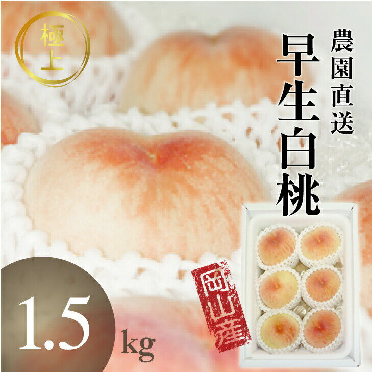 御中元 予約 岡山 桃 白桃 早生 岡山白桃 1.5kg前後 6-7玉 ギフト モモ 産直 高級 フルーツ 果物 くだもの プレゼント 美味しい お見舞い お供え 今が 旬 6月の 7月の 8月の 白鳳 ギフト もも 送料込み 農家直送 北海道沖縄一部地域配送不可のサムネイル