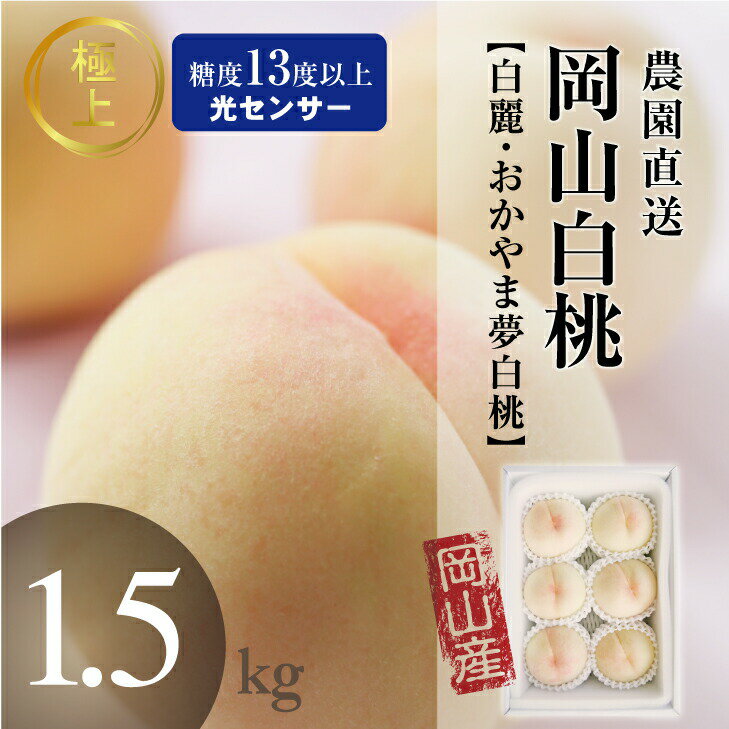 予約 岡山 桃 白桃 糖度センサー品 白麗 おかやま夢白桃 1.5kg箱 5~6玉ギフト モモ 産直 高級 フルーツ 果物 くだもの プレゼント 美味しい お見舞い 今が 旬 6月の 7月の 8月の 岡山白桃 北海道沖縄一部地域配送不可のサムネイル