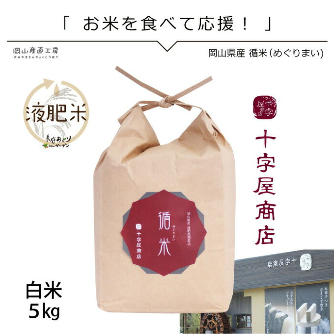 5kg 米5 きぬむすめ5kg 送料無料 美味しいお米 令和4年産 循米めぐり米 き...