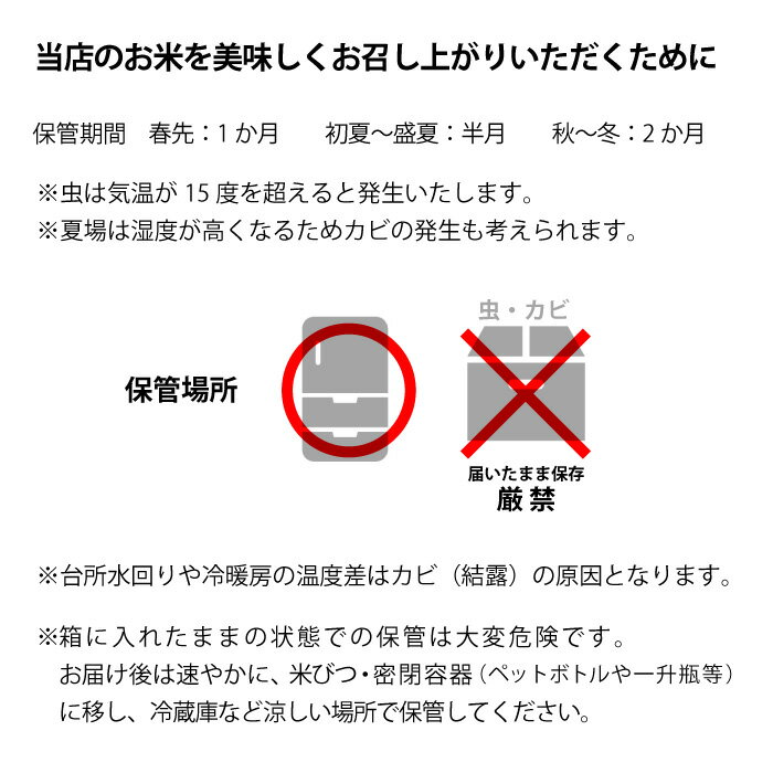 米 5kg 米5 きぬむすめ5kg 送料無料 美味しいお米 令和3年産 循米めぐり米 きぬむすめ 岡山県真庭産お米5kg