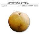 【10月中旬以降発送予定】新高梨 大玉1玉 ご自宅用訳あり おかやまフルーツ新高梨 梨 指定農家直送 新高農家よりもぎたて発送 西日本 なし
