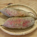 自然な甘みでほっこりさつまいも800g同梱おすすめ岡山県真庭産単品野菜西日本