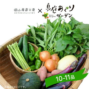 野菜セット 送料無料 真庭あぐり野菜セット カット野菜が1品入る10〜11品　お節介野菜 後払い お試し少人数セット おためし野菜 岡山県真庭市産 岡山産 西日本 やさい 離乳食 酵素ジュース 野菜販売 北海道沖縄一部地域配送不可