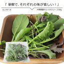 ミックスリーフ50g 単品野菜 岡山県真庭産 大塚農園