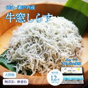 【新商品】牛窓しらす 12パック 天然物 無添加 無着色 極上しらす 岡山県牛窓 服部水産 生産直送 ギフト 贈り物 お歳暮 お中元 プレゼント おかず 小魚 ...