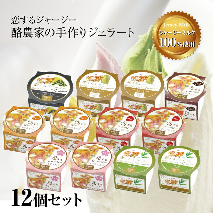ギフト アイス 詰め合わせ 送料無料 自家牧場 搾りたてジャージーミルク アイス お祭り 子ども会 お返し 入学祝い 産地直送 スイーツ恋するジャージープレミアムジェラート12個