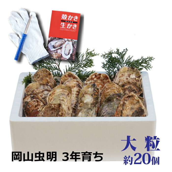 【即納】牡蠣 殻付き 岡山産 大粒 �